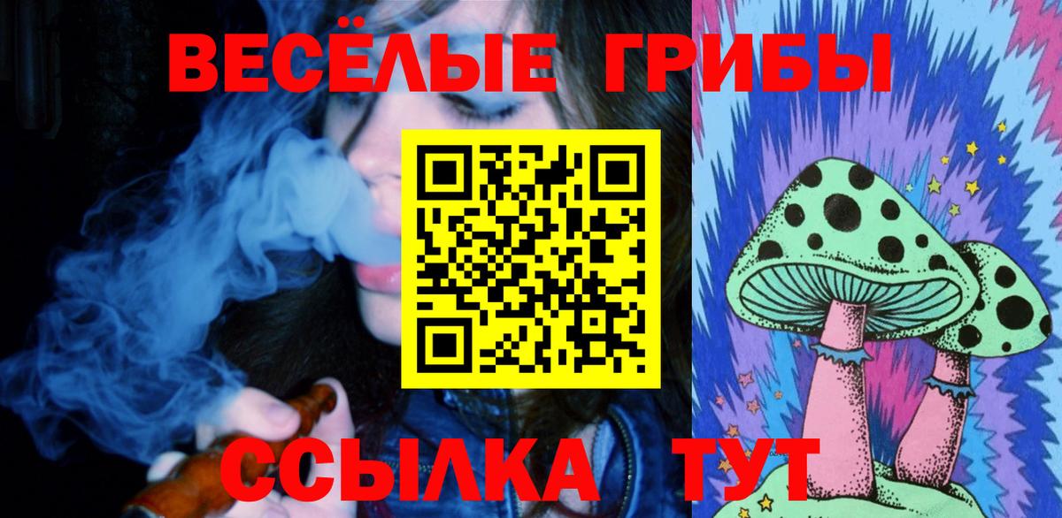 Галлюциногенные грибы MAGIC MUSHROOMS Углич