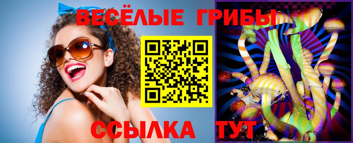 Галлюциногенные грибы GOLDEN TEACHER  Вход с VPN  Углич 